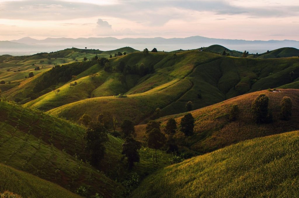 Exploring the Mountains of Israel: A Journey through Old Testament 