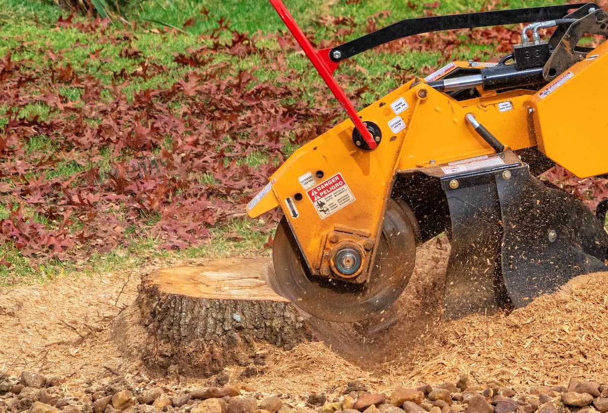 Stump Removal in Vancouver WA